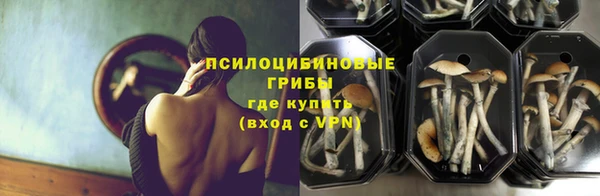 ГАЛЛЮЦИНОГЕННЫЕ ГРИБЫ Армянск
