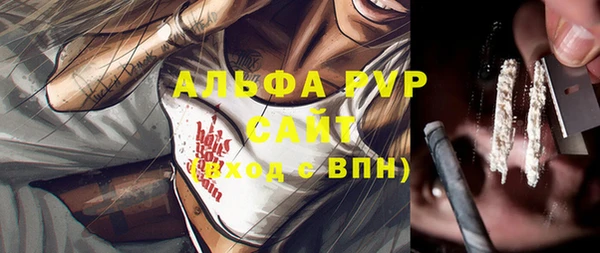 твердый Арсеньев