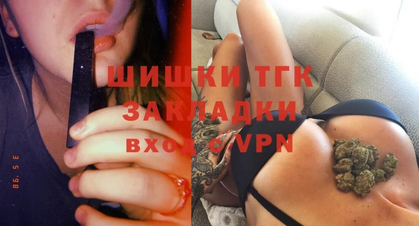 твердый Арсеньев