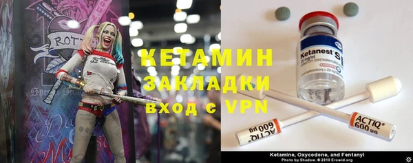 твердый Арсеньев