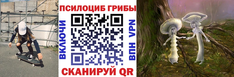 Галлюциногенные грибы прущие грибы  купить наркотики цена  Йошкар-Ола 