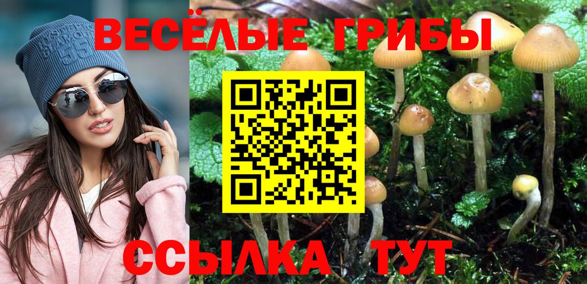 Галлюциногенные грибы мухоморы Йошкар-Ола